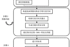 基于三维视觉信息的矿物浮选泡沫流速在线检测装置及方法