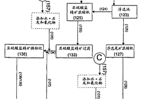 用于回收难浸矿物矿石的方法和装置