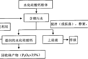 水化硅酸钙晶种法回收污水中磷的工艺