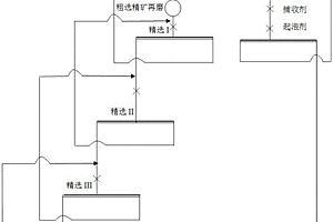 伴生硫铁矿中硫的浮选方法