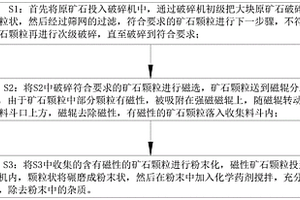 含磁铁矿的矿石选矿工艺