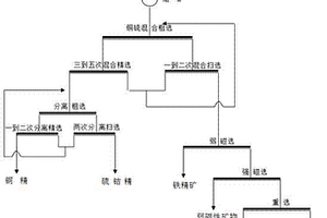 铜尾矿中重金属的物理选矿脱除方法