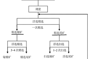 从选钼尾矿中回收铋的选矿方法