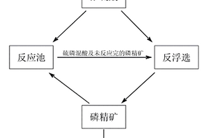 磷矿反浮选工艺