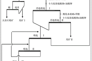 从稀土尾矿中综合回收锶矿物的选矿方法