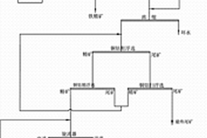 含铜、钴和磁铁矿石选别工艺