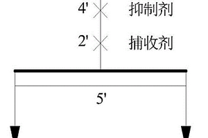 降低浮选泡沫稳定性的复合捕收剂及其制备方法和应用