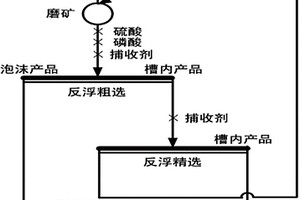 难选高镁胶磷矿磨浮闭路工艺