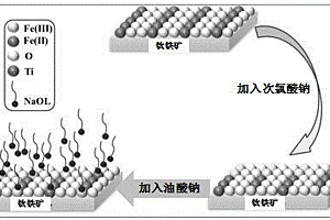 钛铁矿活化浮选方法