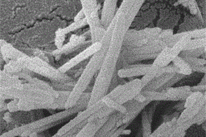 以硫铁尾矿为原料制备的莫来石纳米晶须及其制备方法