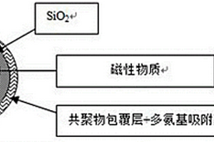 磁性固体多氨基吸附剂颗粒材料、制备方法及其应用