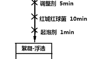 红城红球菌在赤铁矿分离中的应用及分离方法