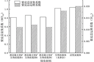 球磨机碎球分离拣出装置