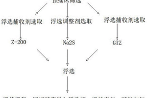 乙型副伤寒和爪哇变种沙门菌试剂盒、制备及使用方法