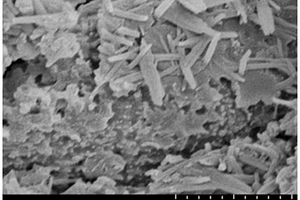 钙钛矿量子点釉料、光伏玻璃及其制备方法和光伏组件