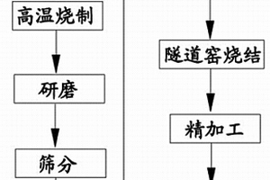 动物双歧杆菌及其培养方法和其在促进骨细胞生长和成熟中的应用