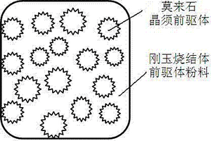 煤矿水分检测装置