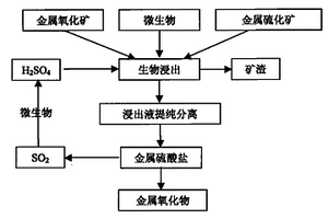 富硒茶叶专用肥及其应用