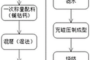 物质和蛋白质的共无定形形式