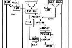 红甜菜浓缩汁的制备方法