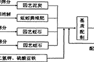 沸石水处理滤料