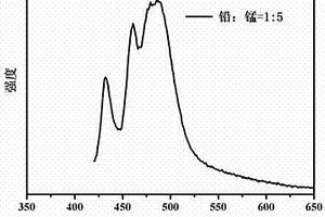 碎软低透突出煤层以孔代巷快速抽采瓦斯达标的技术方法