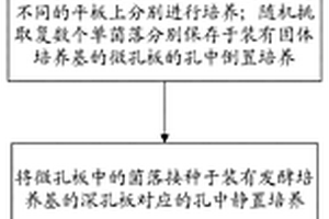 新型自动给矿机