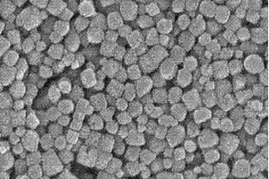 固体氧化物燃料电池的钙钛矿阴极材料中钴的回收方法