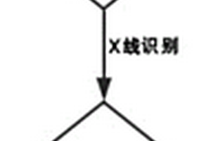 用于肉代用品生产的方法和装置