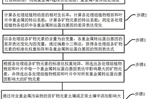 磷钾复合肥的生产方法