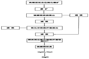 从高镁型低品位硫化镍矿中回收镍和镁元素的方法