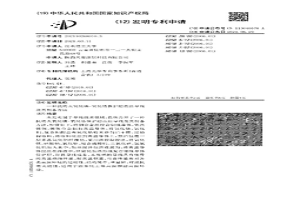 抗明火氧化镁-氧化锆保护超高温导线及其制备方法