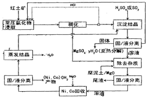 盐酸存在下用于从矿石回收有价值金属的浸取工艺