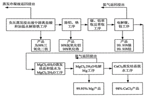 将红土镍矿各组分转化为产品的湿法冶金方法