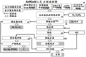 用于萃取贵元素、贱元素和稀有元素的处理工艺