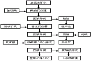 从红土镍矿中回收镍、钴、铁、硅和镁的方法