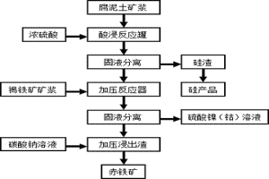 通过联合浸出工艺从红土镍矿中回收镍、钴、铁和硅的方法