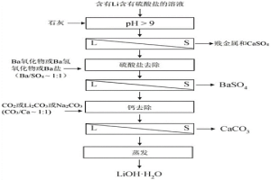锂回收和纯化