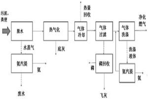 来自污水污泥和动物粪便的营养物和能量回收