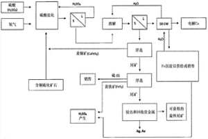 铜精矿硫酸盐化和浸出的方法