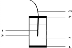 PVC膜Ce（Ⅳ）离子选择性电极及其制备方法和应用