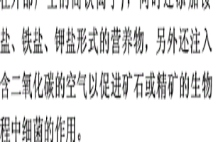 用含分离的微生物的浸滤液连续接种来提高金属硫化物矿石或精矿的生物浸滤速度的方法