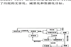 污泥中重金属铜的生物沥浸-溶剂萃取-电积回收方法