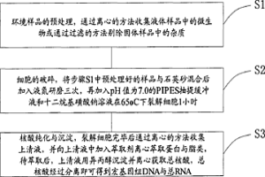 矿区环境样品微生物基因组DNA与总RNA同时提取的方法