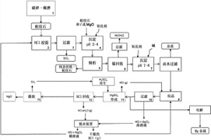 在HCl回收回路中使用硫酸生产镁化合物和各种副产物的方法