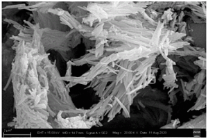 纳米五氧化二钒正极材料的制备方法