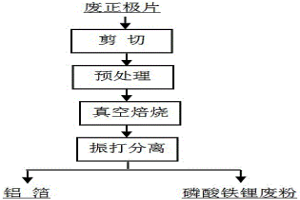 废旧磷酸铁锂电池正极片的真空分离方法