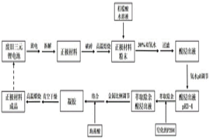 从废旧电池中回收金属并将其制备成正极材料的方法