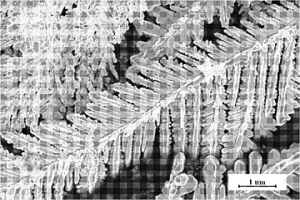 制备树枝状Ni纳米晶的方法