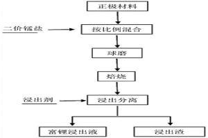 从退役电池中选择性提锂的方法及其应用